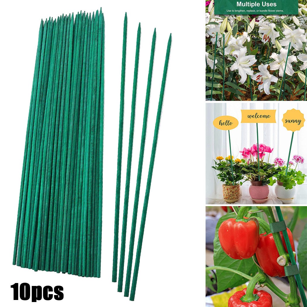 Plant Support Stake - 10 sztuk 40cm zielona roślina wsparcie