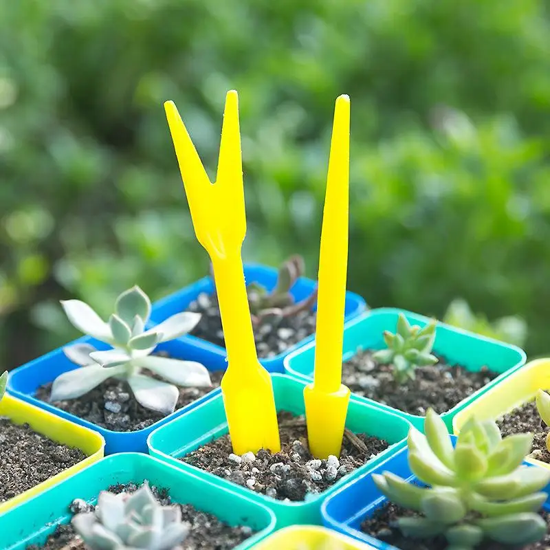 Succulent Set - 1/10 sztuk siew sukulenty przeszczep sadzonki