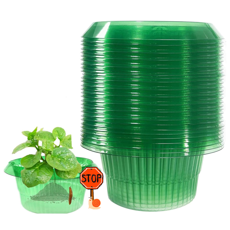 Terracotta Pot - 5-25 sztuk rośliny pierścienie zabezpieczające przed