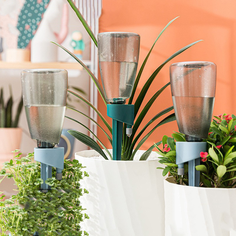Succulent Set - Nowe automatyczne urządzenie do podlewania kwiatów