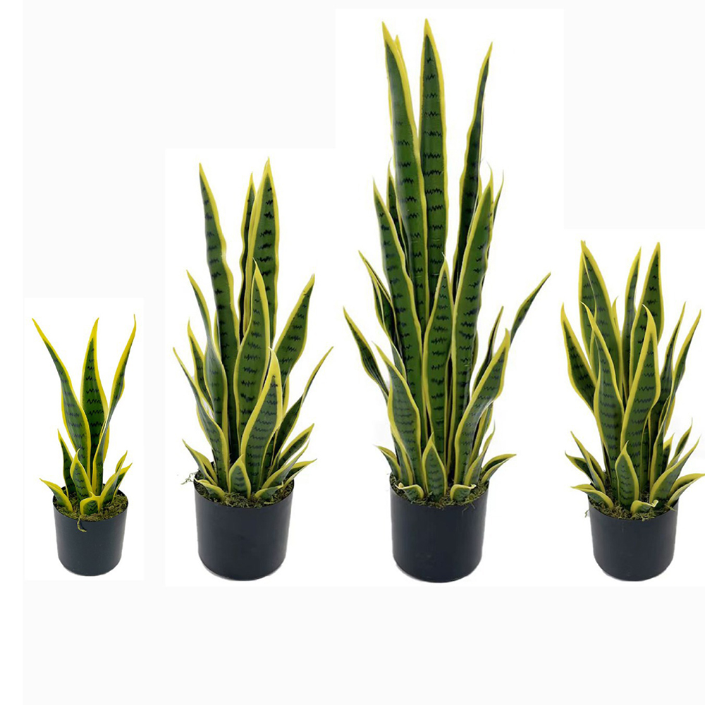 Snake Plant - Sztuczna Sansewieria (Wężowa) w czarnym doniczku,