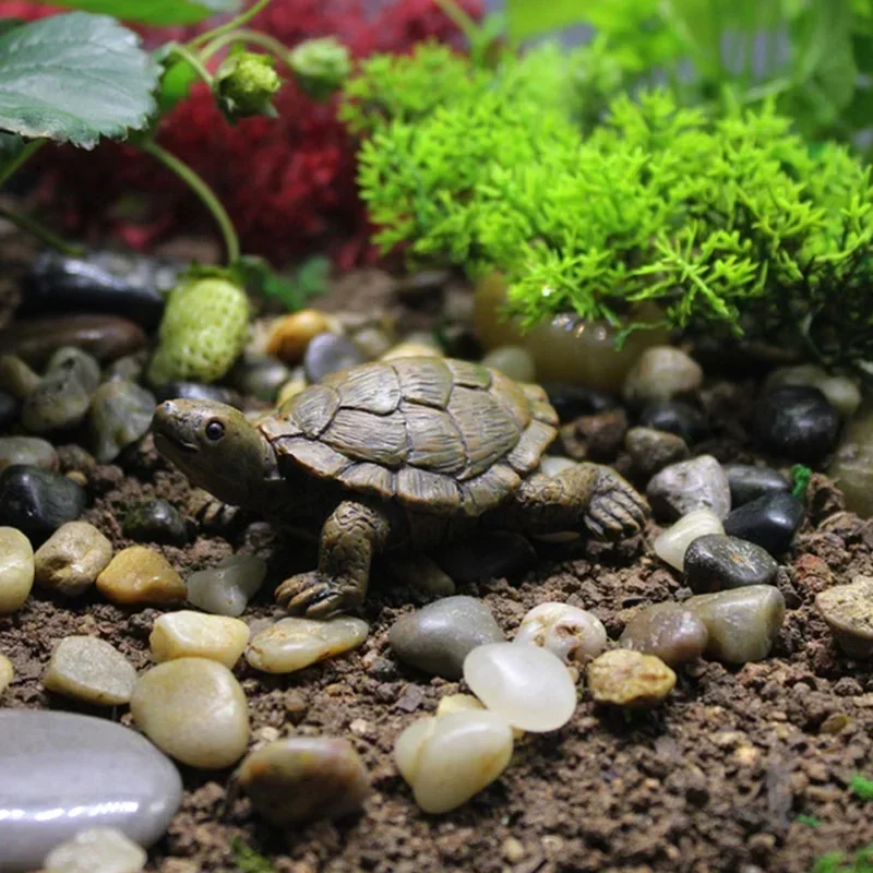 Symulacja żywicy mały żółw rze – Succulent Set recenzja i cena