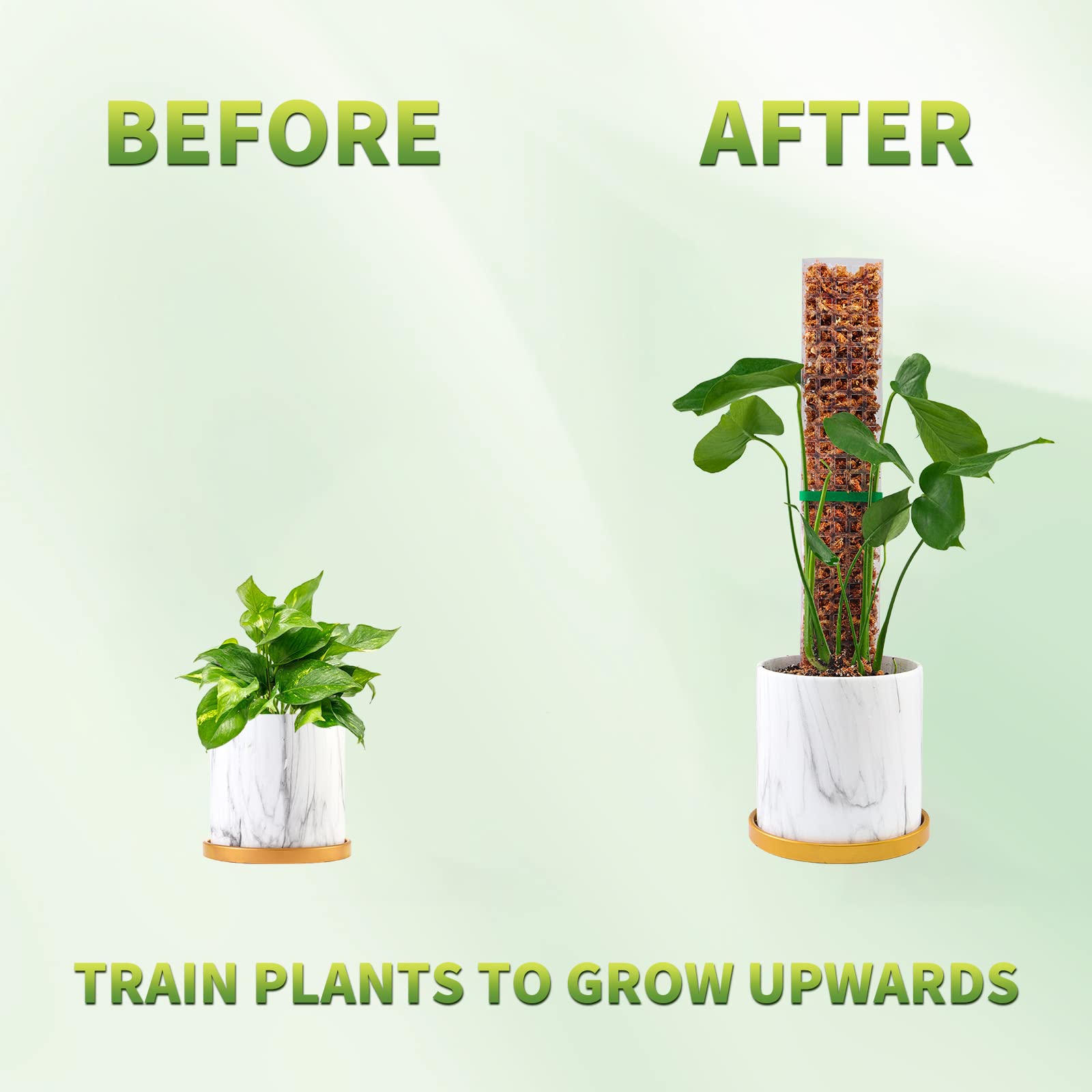 Moss Poles Plants Plant Suppor – Plant Support Stake recenzja i cena