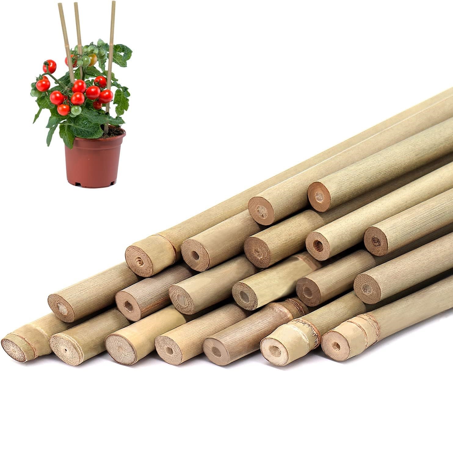 10 sztuk, bambusowe paliki do  – Plant Support Stake recenzja i cena