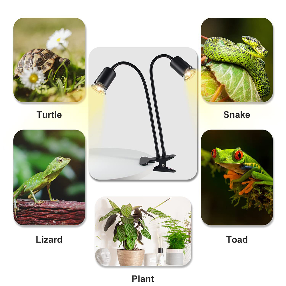 Lampa grzewcza dla gadów obrot – Snake Plant recenzja i cena