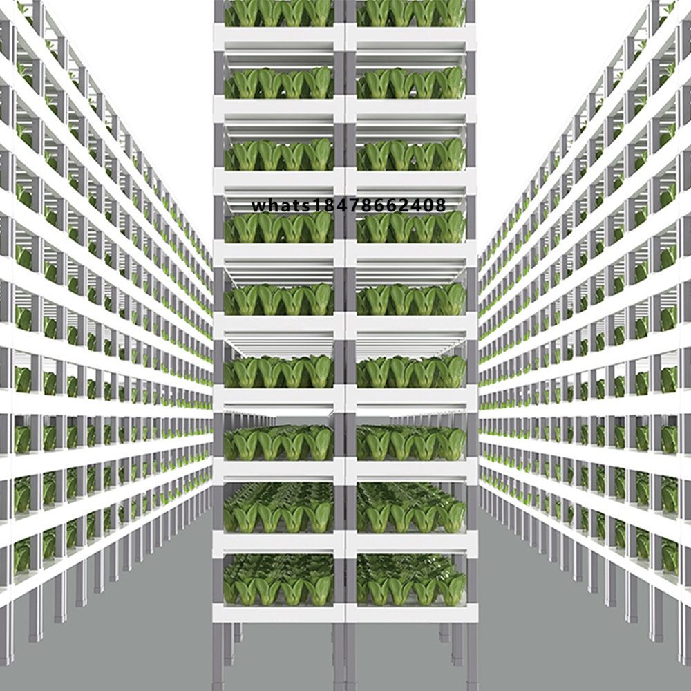 Sterowany aplikacją inteligent – Indoor Plants recenzja i cena