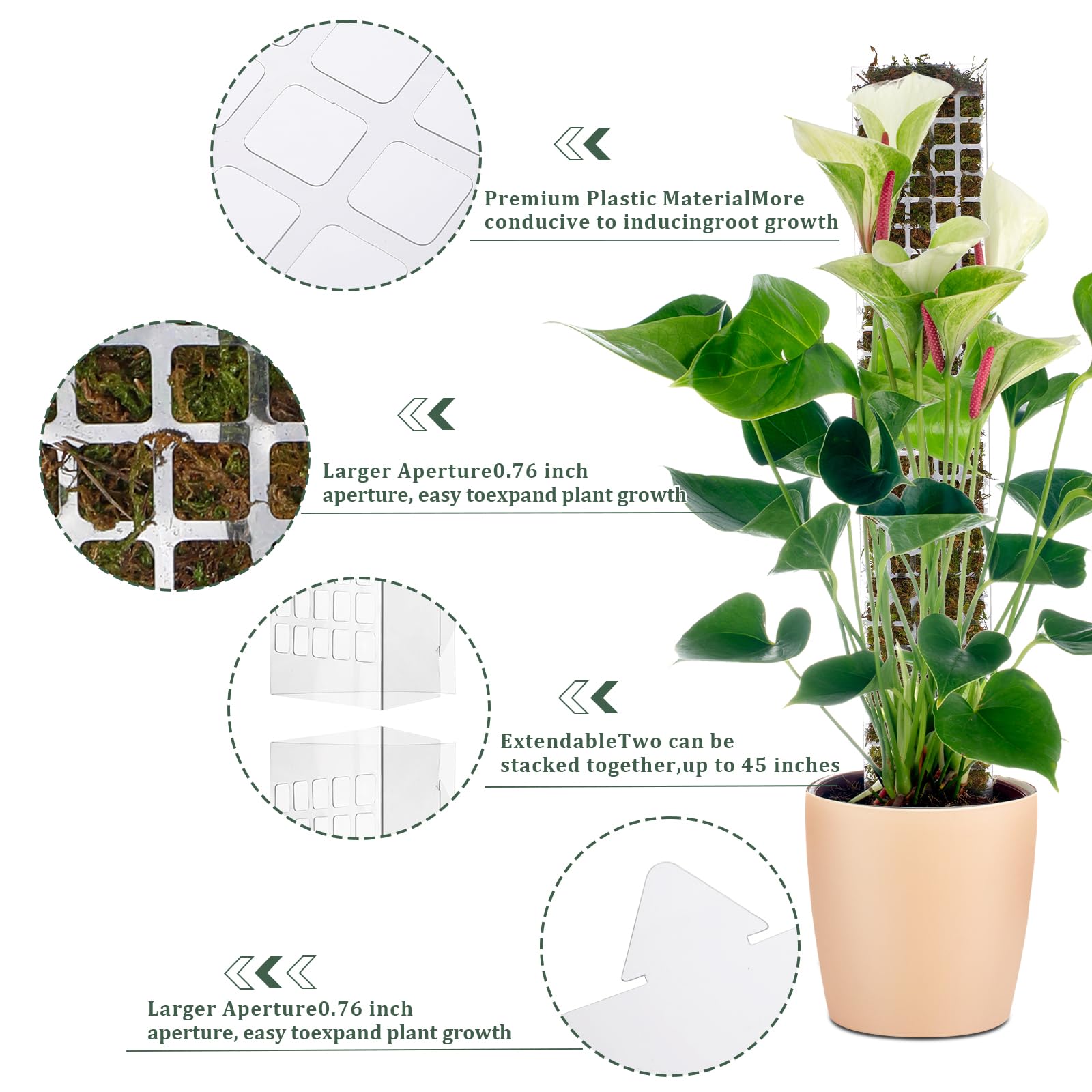 Plastikowy, modułowy słup do p – Plant Support Stake recenzja i cena