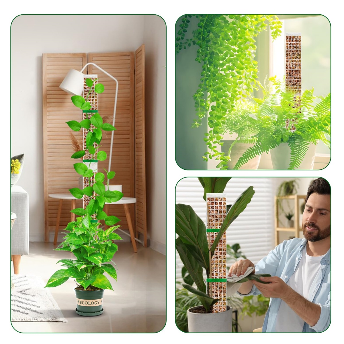 Plastikowy, modułowy słup do p – Plant Support Stake recenzja i cena