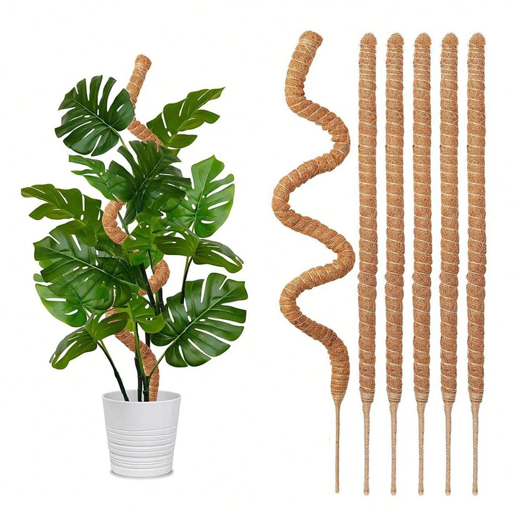 Podpórki do roślin Monstera, s – Plant Support Stake recenzja i cena