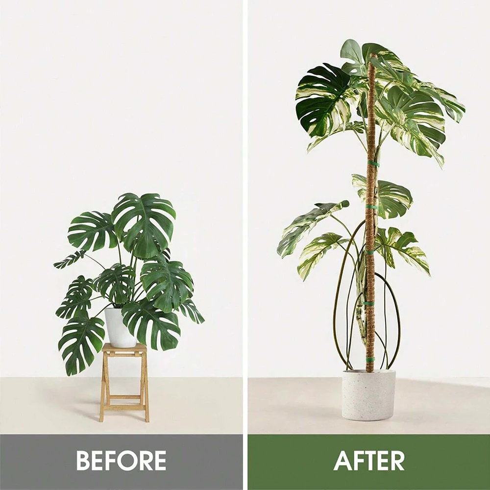 Podpórki do roślin Monstera, s – Plant Support Stake recenzja i cena