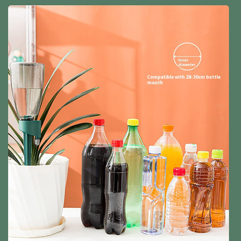 Nowe automatyczne urządzenie d – Succulent Set recenzja i cena