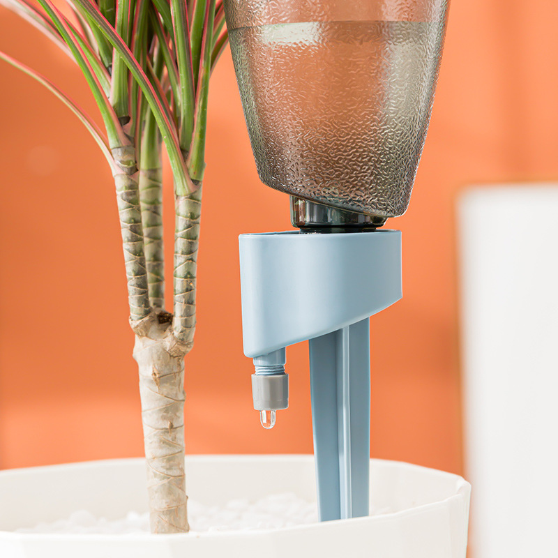 Nowe automatyczne urządzenie d – Succulent Set recenzja i cena