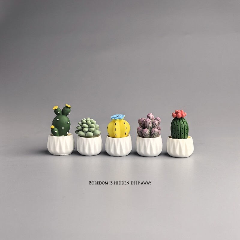 Kaktus doniczkowy, sukulent, m – Succulent Set recenzja i cena