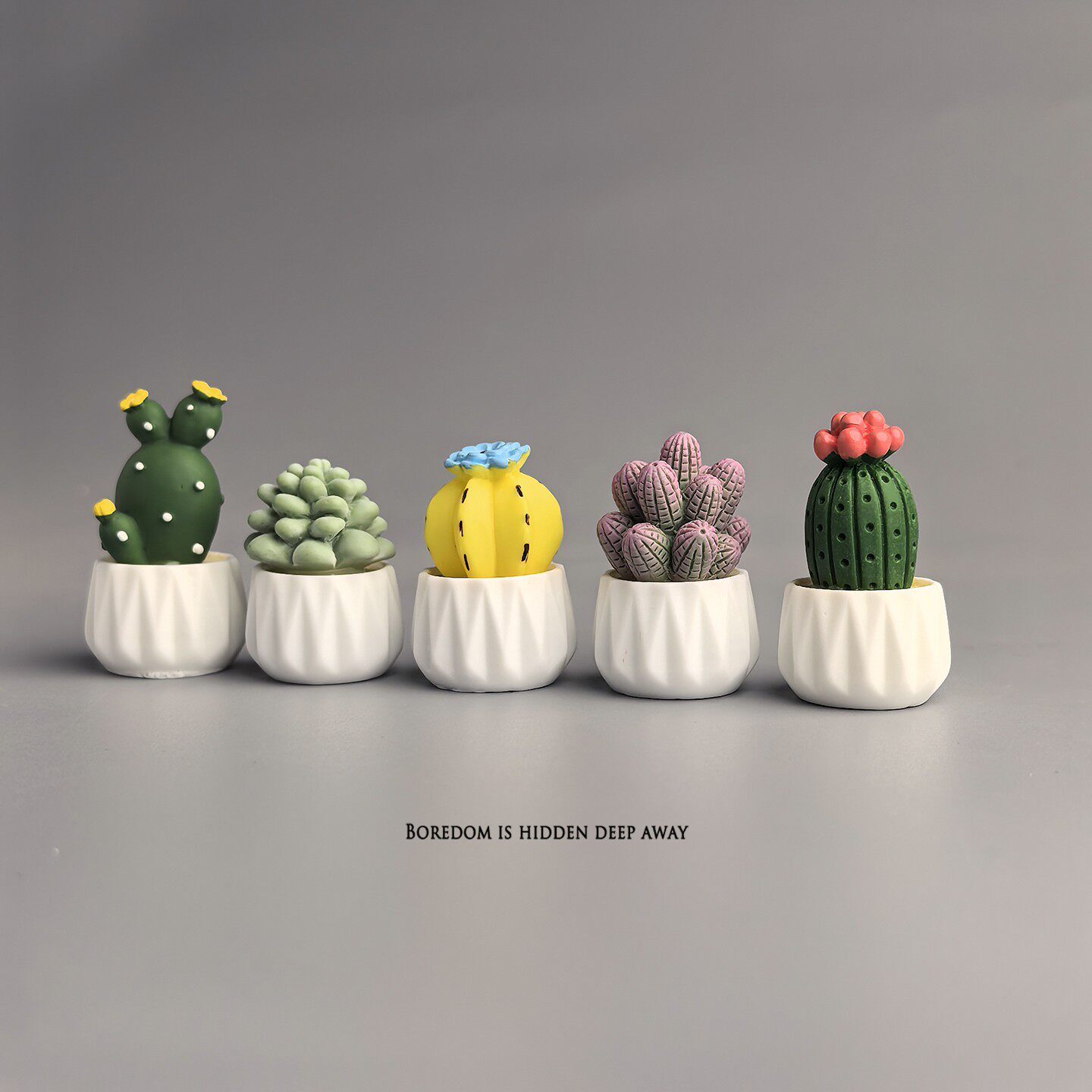 Kaktus doniczkowy, sukulent, m – Succulent Set recenzja i cena
