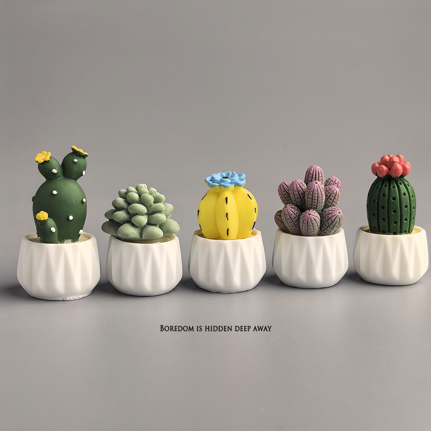 Kaktus doniczkowy, sukulent, m – Succulent Set recenzja i cena