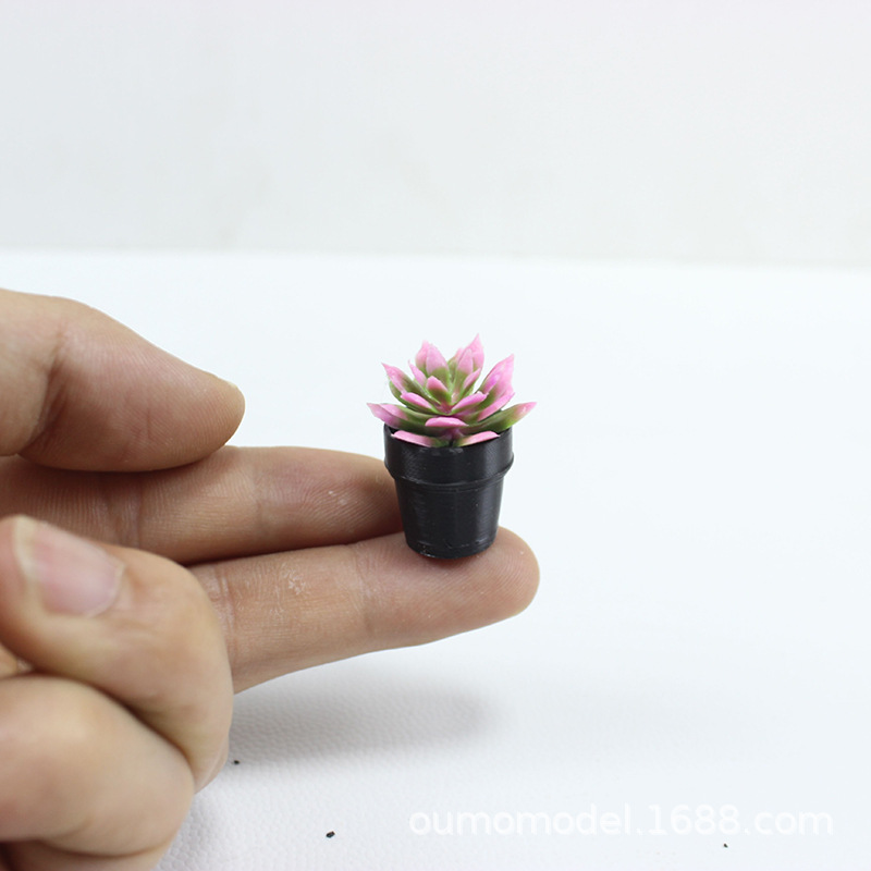 Miniaturowe Symulowane Rośliny – Succulent Set recenzja i cena