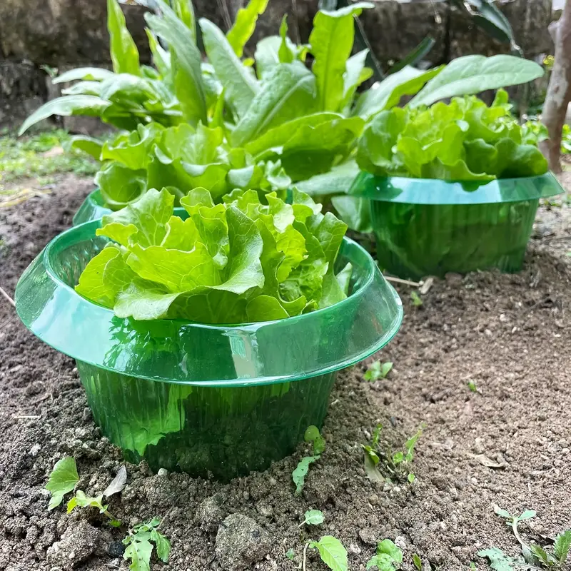 Ochrona roślin przed ślimakami – Terracotta Pot recenzja i cena