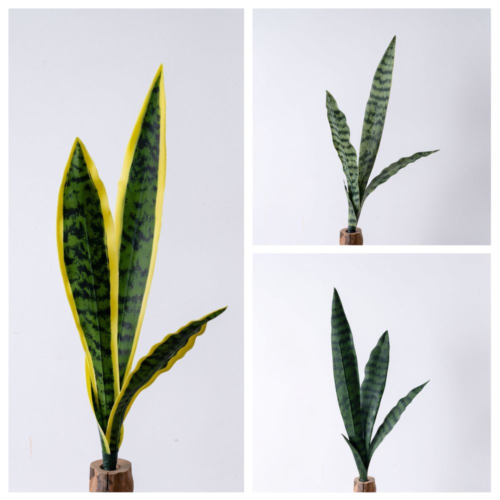 Realistyczne, sztuczne liście  – Snake Plant recenzja i cena