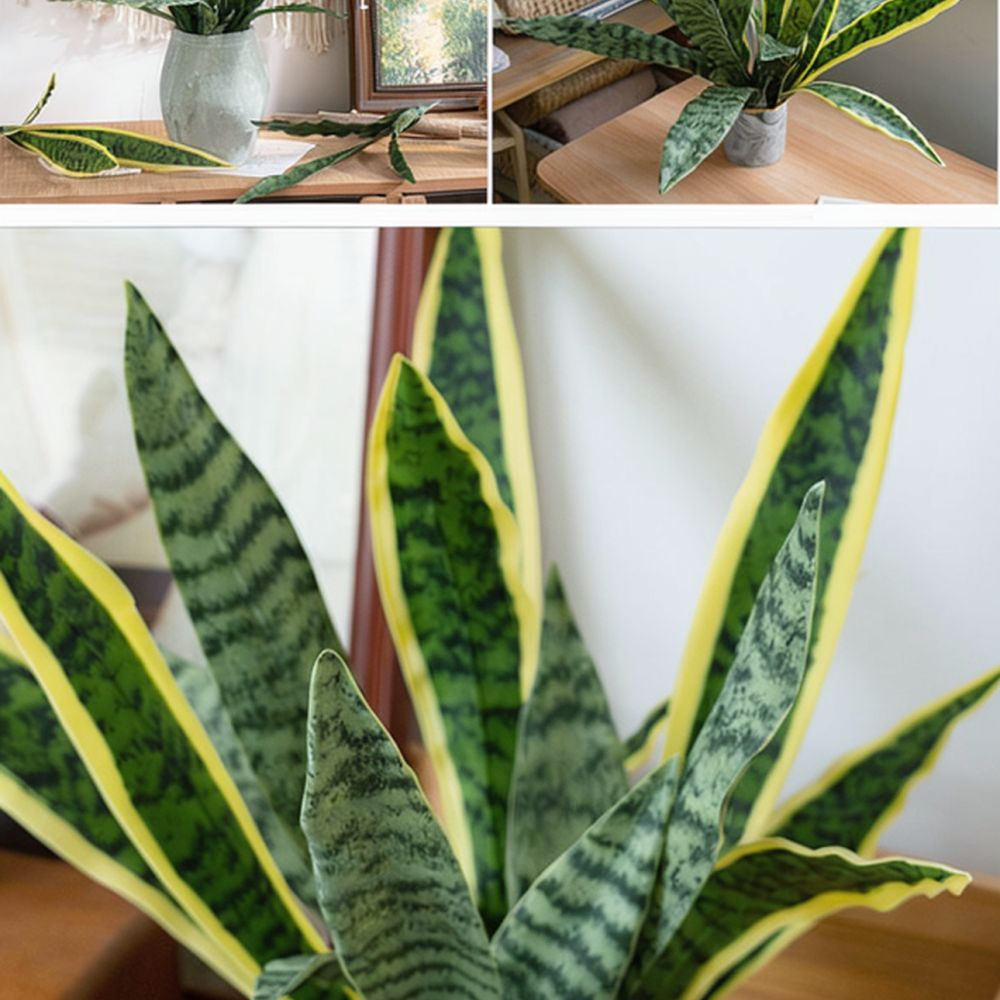 Realistyczne, sztuczne liście  – Snake Plant recenzja i cena