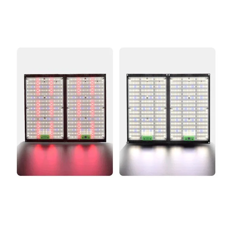 Światło LED Quantum-Board do u – Indoor Plants recenzja i cena