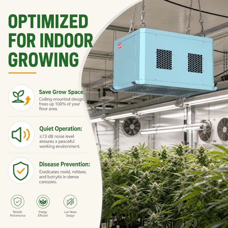 Wydajny osuszacz powietrza do  – Indoor Plants recenzja i cena